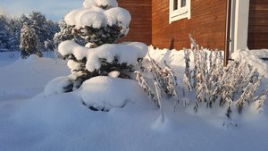 ad464048-09aa-4898-b2bb-cdee002f7cea.jpg