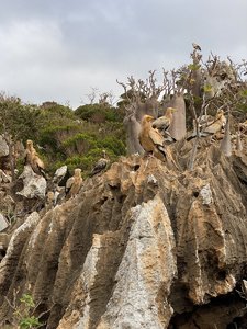 735E716C-CA47-4D79-905A-BE3A4B8D4FF6.jpeg