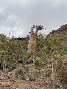 AAADF919-3F65-4647-AA5B-0F9917A34ABD.jpeg