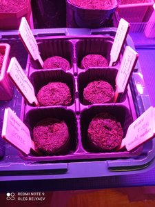 IMG_20220304_204554.jpg