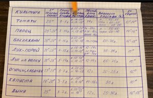 Рассада.jpg