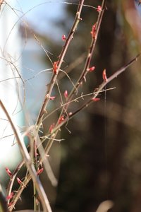 IMG_1173.JPG