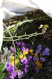 IMG_1168.JPG
