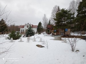 IMG_20220326_134707.jpg