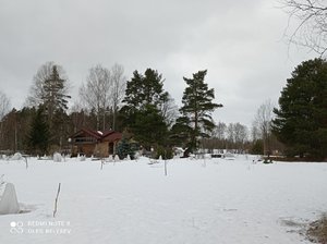 IMG_20220326_135043.jpg