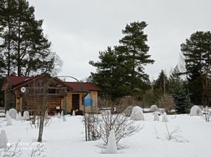 IMG_20220326_135148.jpg