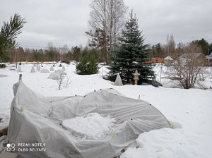 IMG_20220326_134040.jpg