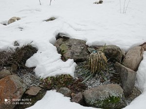 IMG_20220326_135226.jpg