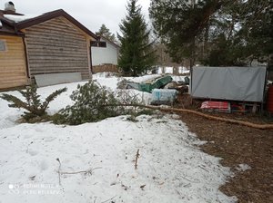 IMG_20220326_133637.jpg