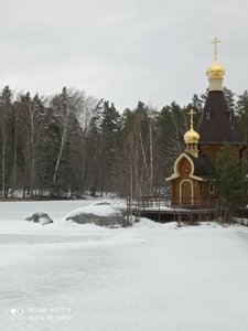 IMG_20220326_142451.jpg
