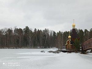 IMG_20220326_142520.jpg
