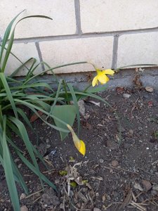 изображение_viber_2022-03-29_17-40-50-186.jpg