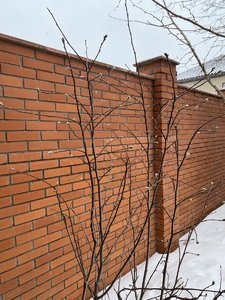 25E0D9E4-E21D-4099-BE3D-A0ABB12A0474.jpeg