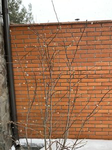 8F2236DF-D9C9-4CA1-9A6E-6A468CF4F5F7.jpeg