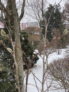 48493EAA-2478-4173-B65A-0DC0CAEE326D.jpeg