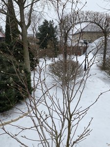 7EA32323-0731-4715-A099-CC52435110E4.jpeg
