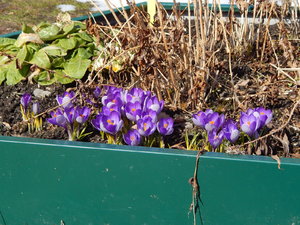 DSCN7920.JPG