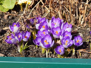 DSCN7921.JPG