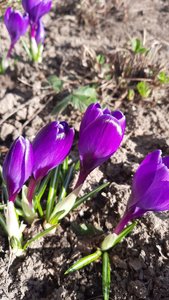 0d208a3c-1065-4077-bff9-c9b83acda4a7.jpg