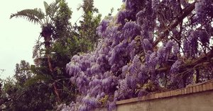 FB_IMG_1651009866586.jpg