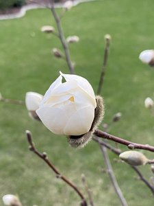 0730CF31-1986-4540-A709-A726440D5336.jpeg