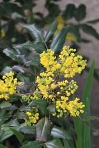 IMG_1298.JPG