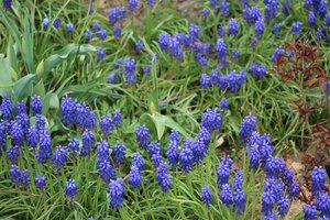 IMG_1254.JPG