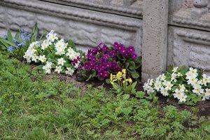 IMG_1236.JPG