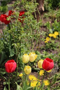IMG_1383.JPG