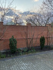 0095BF51-9EA8-4F28-8D19-5C56A91D396E.jpeg