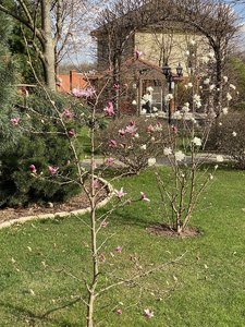 DF625078-E639-4B92-BA0B-A8D396878E90.jpeg
