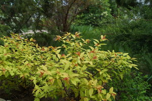 DSC02426.JPG