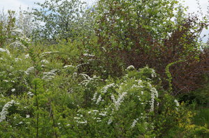 DSC02406.JPG