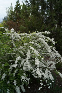 DSC02419.JPG