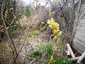 IMG_20220504_111529.jpg
