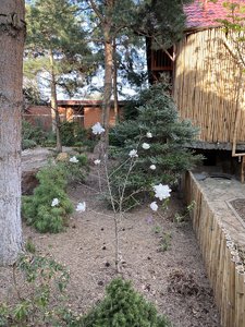 11007367-3183-453E-ABB8-EE59FF497D20.jpeg