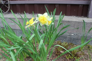 IMG_7886.JPG