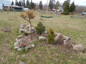 DSCN8052.JPG