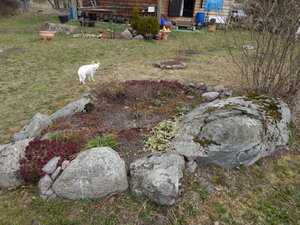 DSCN8086.JPG