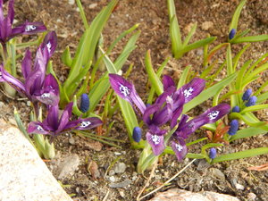 DSCN8007.JPG