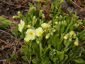 DSCN8017.JPG