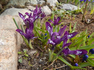DSCN8039.JPG