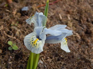 DSCN8041.JPG