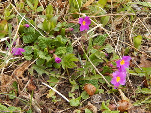DSCN8089.JPG