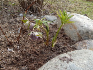 DSCN8029.JPG
