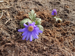 DSCN8026.JPG