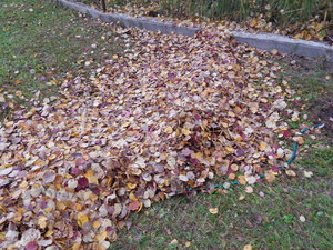 DSCN7636.JPG