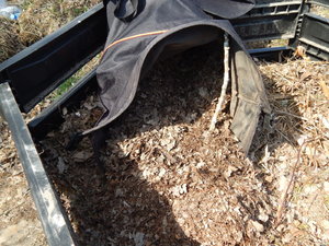DSCN8097.JPG