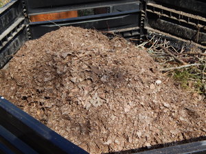 DSCN8098.JPG