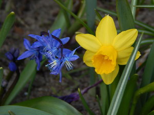 DSCN8120.JPG